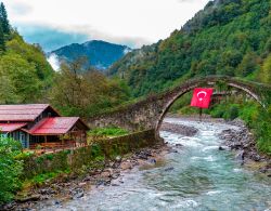 Special Interest and Adventures